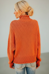 Skye Polar Neck Jumper I 3 Colours