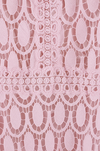 Jasmine Shell Pink Lace Dress | Hot New Colour